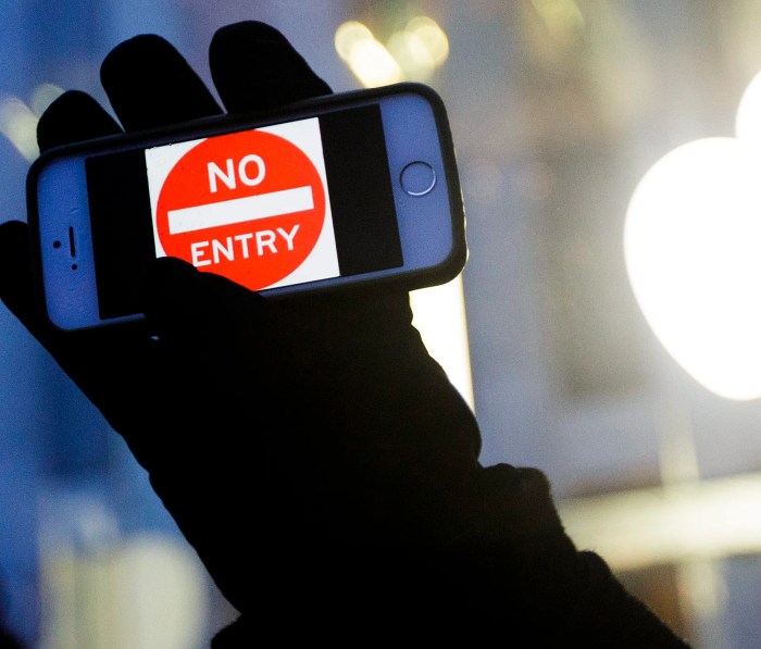 Fbi gains access to terrorists iphone