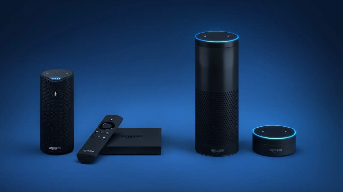 Amazon offers instructions on building your own echo speaker